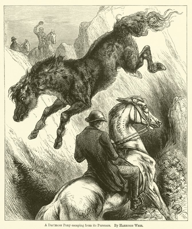 A Dartmoor Pony Escaping from Its Pursuers by Harrison William Weir