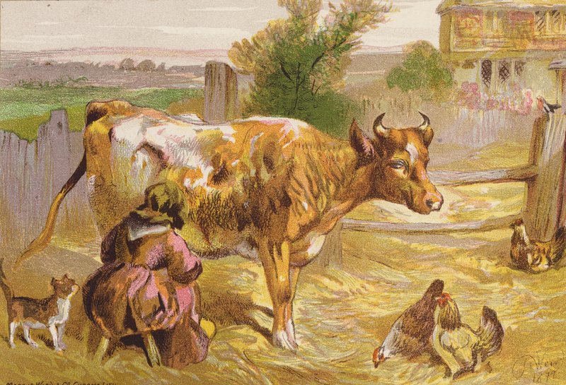 Old Nancy Milking the Cow by Harrison William Weir