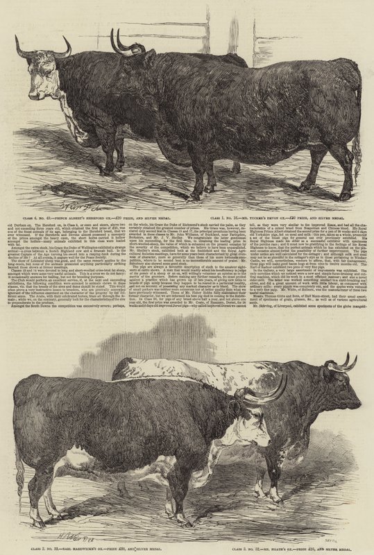 The Annual Exhibition of the Smithfield Club by Harrison William Weir