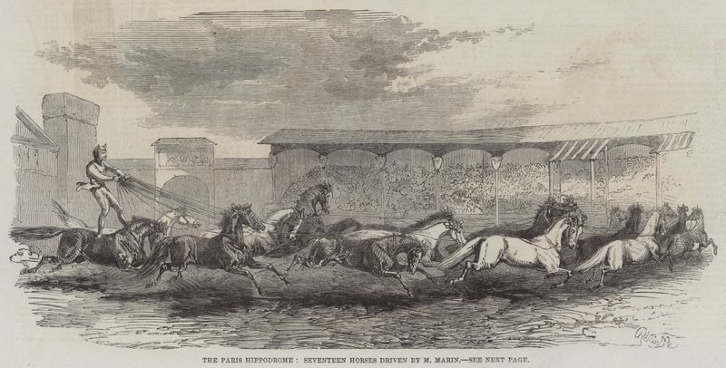 The Paris Hippodrome, Seventeen Horses driven by M Martin by Harrison William Weir