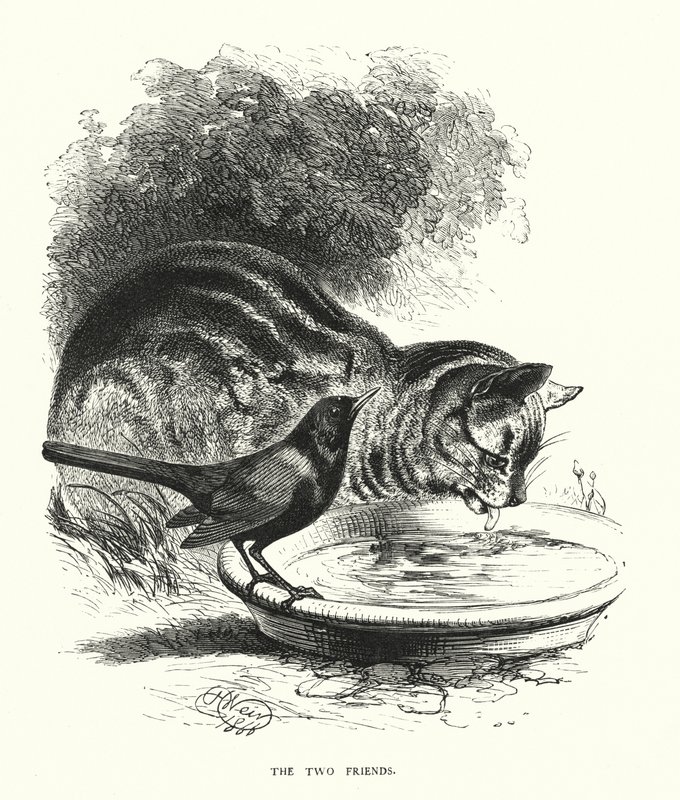 The Two Friends (engraving) by Harrison William Weir