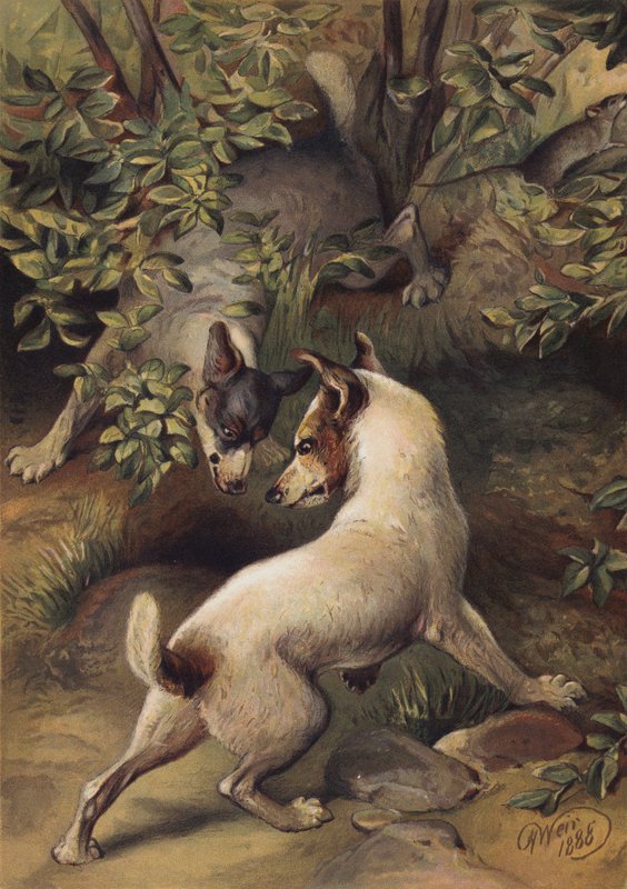 Two dogs trying to reach a pool of water to drink by Harrison William Weir