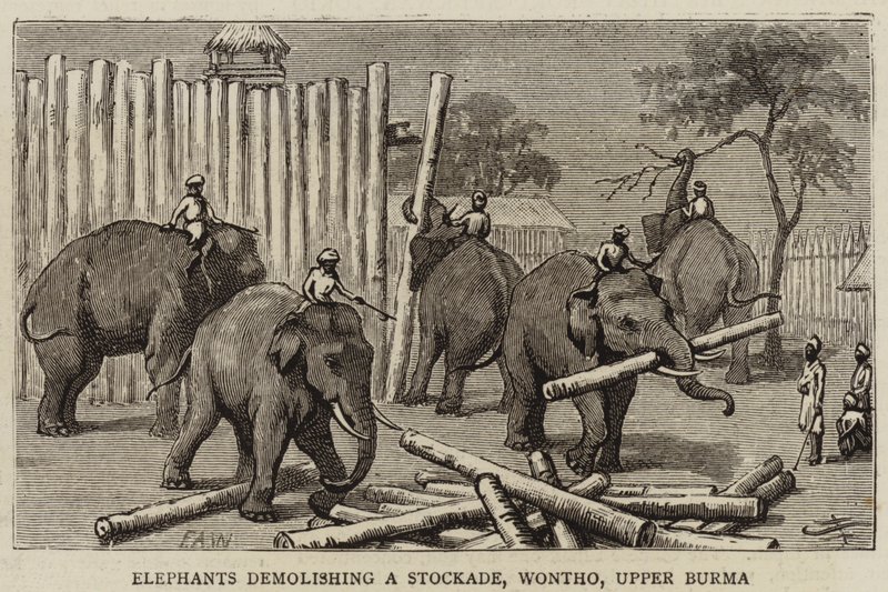 Elephants demolishing a Stockade, Wontho, Upper Burma by Harry Hamilton Johnston