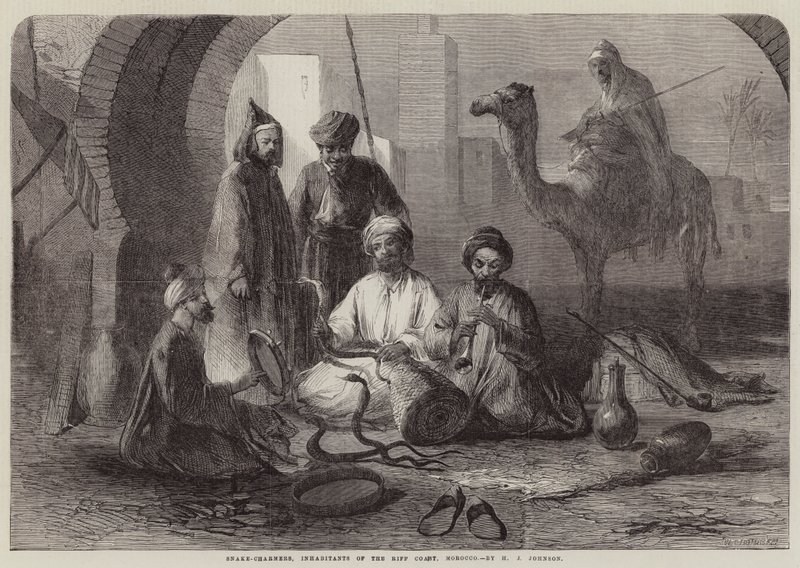 Snake-Charmers, Inhabitants of the Riff Coast, Morocco by Harry John Johnson