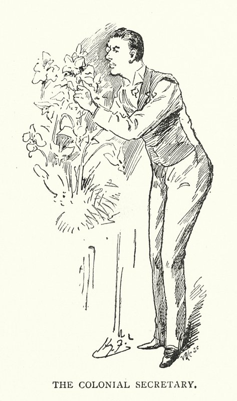 The Colonial Secretary by Harry (after) Furniss