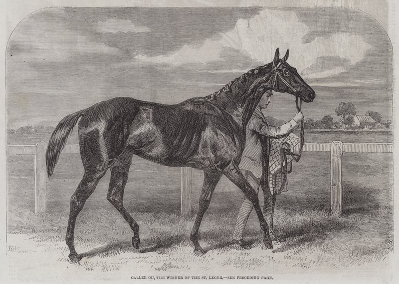 Caller Ou, the Winner of the St Leger by Harry Hall