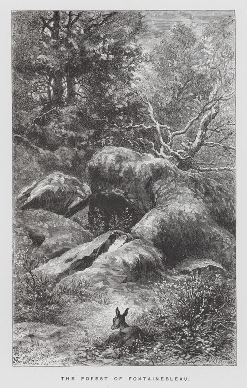 The Insect: The Forest of Fontainebleau by Hector Giacomelli