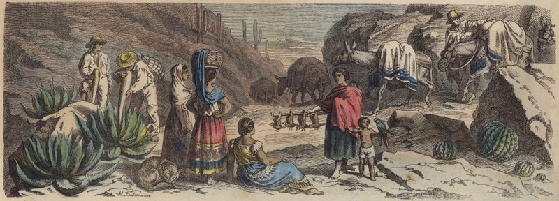 A Mountain Road in Mexico by Heinrich Leutemann