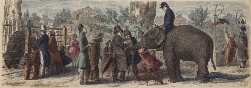 In a Zoological Garden in Germany by Heinrich Leutemann