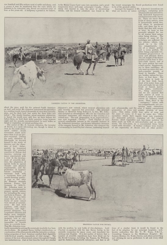 Cattle in Argentina by Henry Charles Seppings Wright