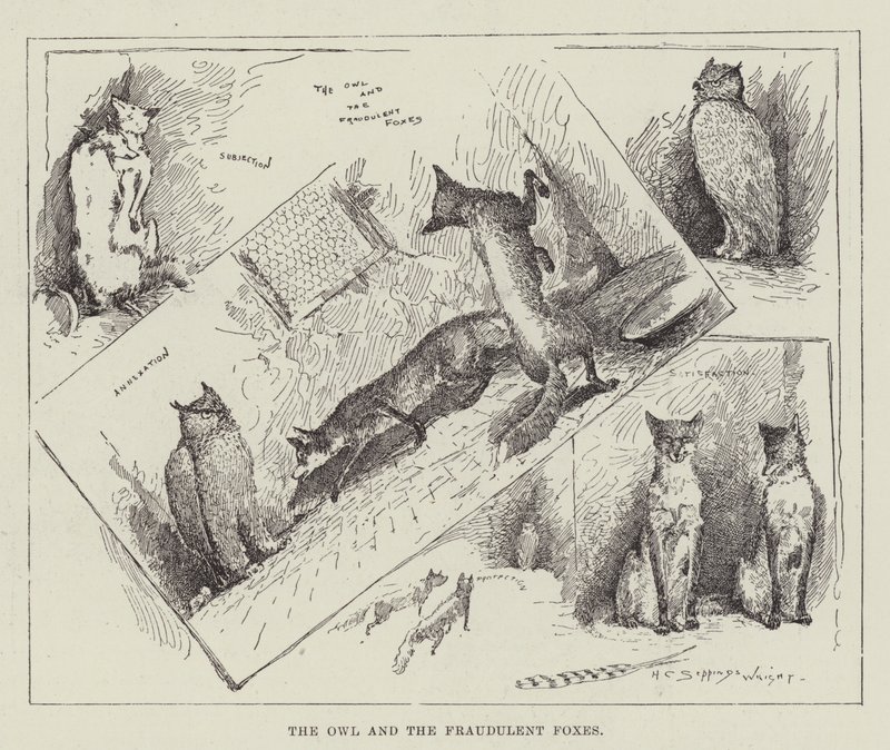 The Owl and the Fraudulent Foxes by Henry Charles Seppings Wright