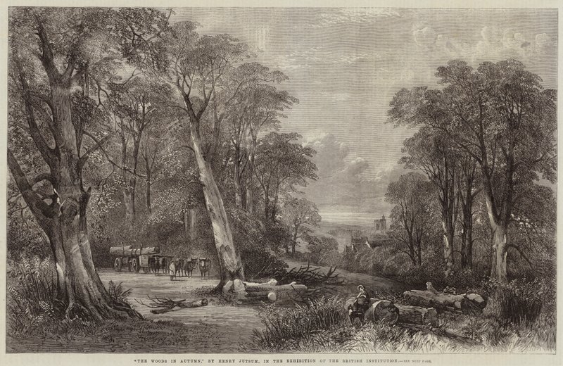 The Woods in Autumn by Henry Jutsum