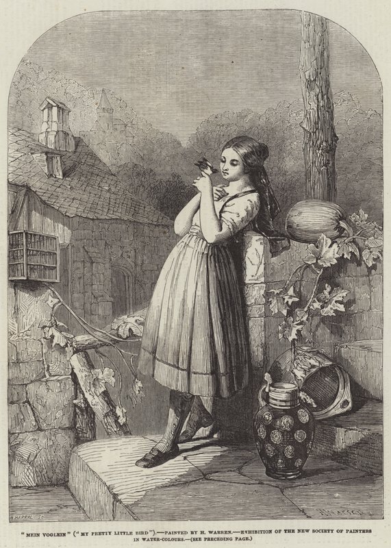 My Pretty Little Bird by Henry Warren