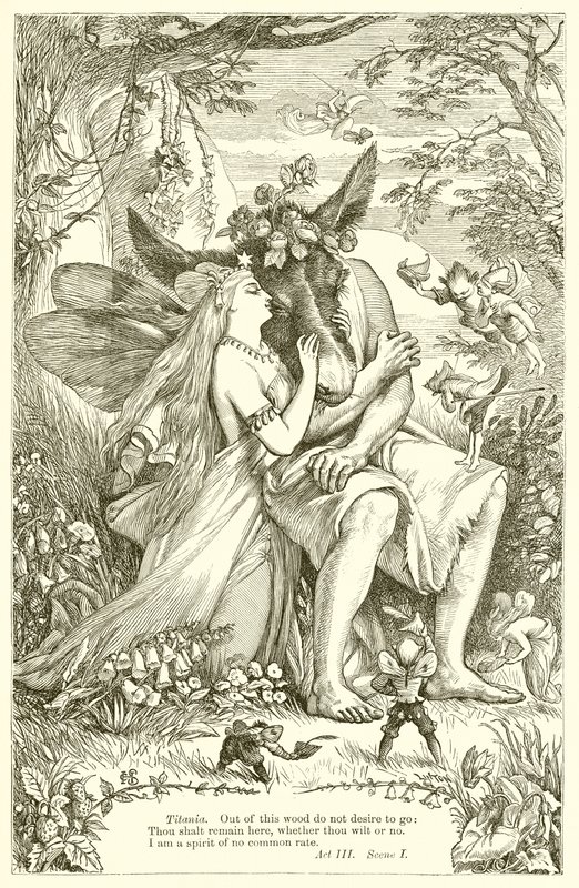 A Midsummer Night