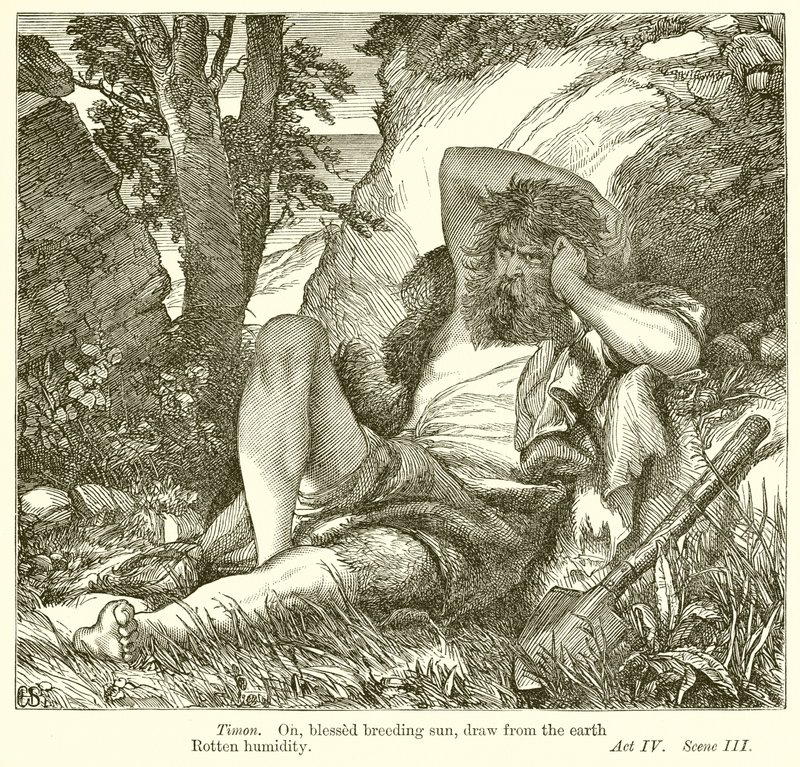 Timon of Athens by Henry Courtney Selous