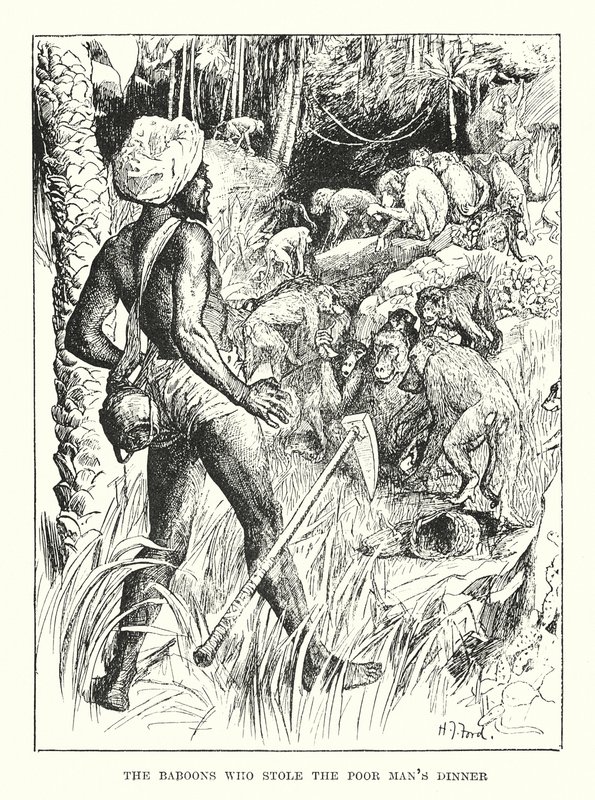 The Baboons Who Stole the Poor Man