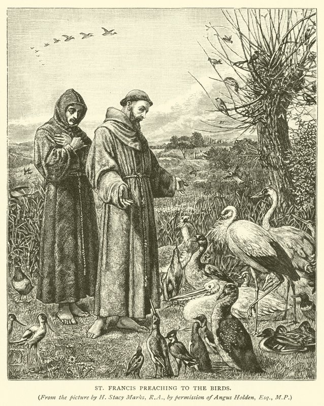 St Francis preaching to the birds by Henry Stacey Marks