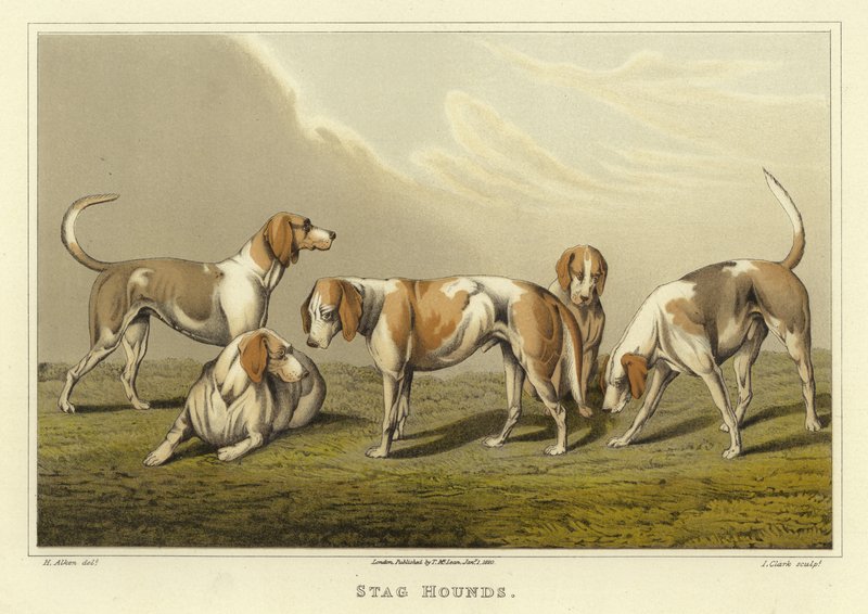 Stag Hounds by Henry Thomas Alken