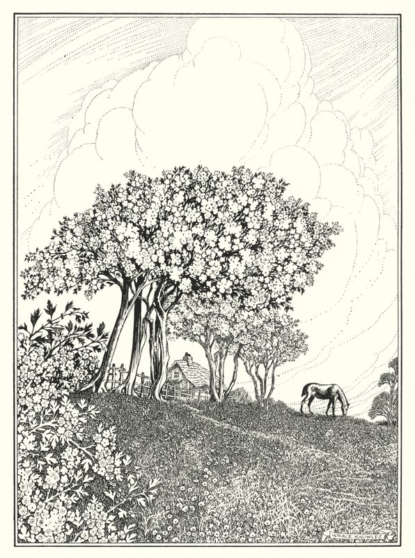 May by Horace J. Knowles