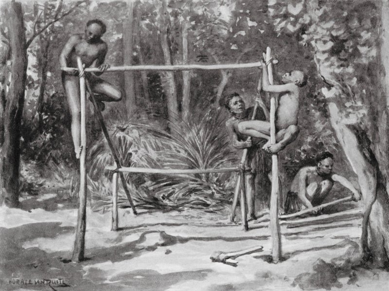 The Dawn of Life, Building a Home by Horace van Ruith