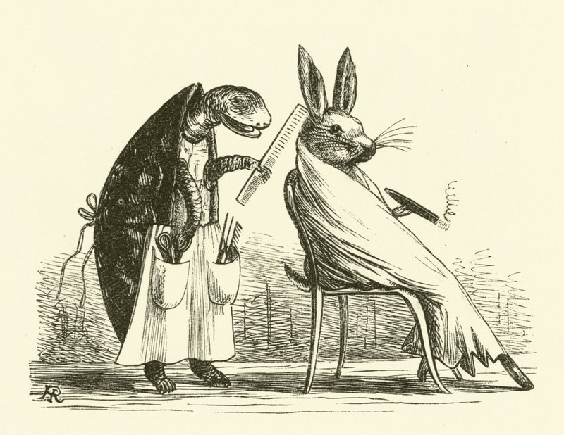 Tortoise and Hare by Hugh Rowley