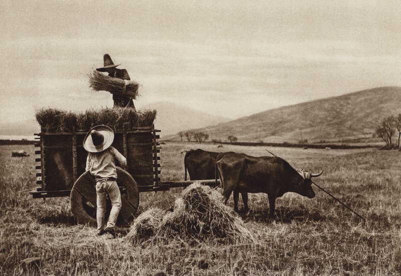 Mexico: Farmers Harvesting Wheat by Hugo Brehme