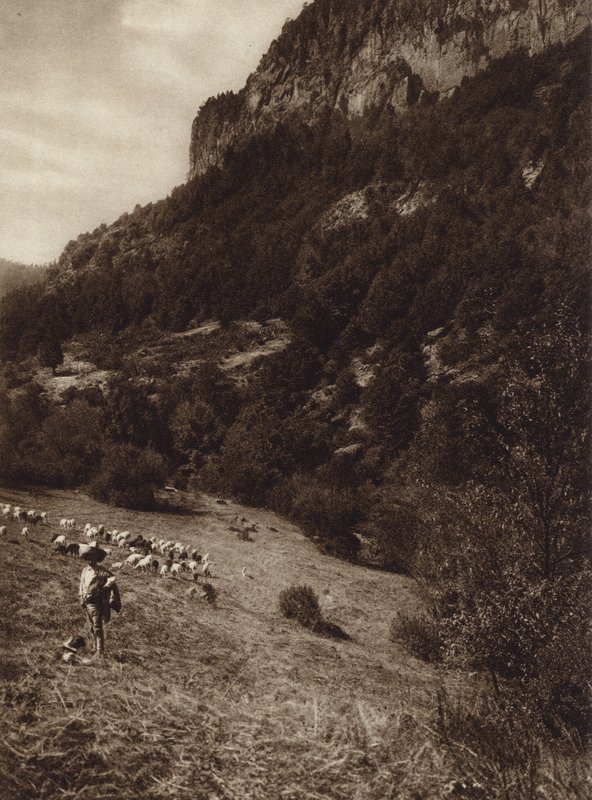 Mexico: La Canada, Contreras, D.F. by Hugo Brehme