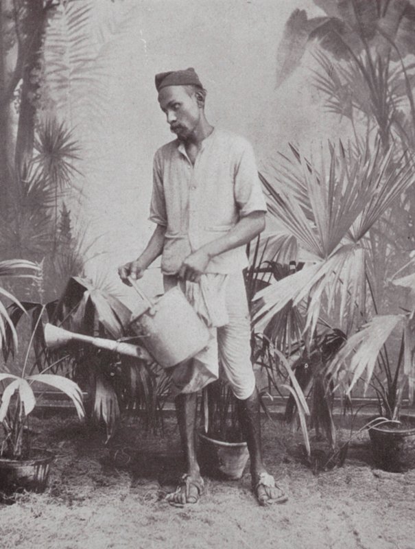 Bombay / Mumbai: Gardener by Indian photographer