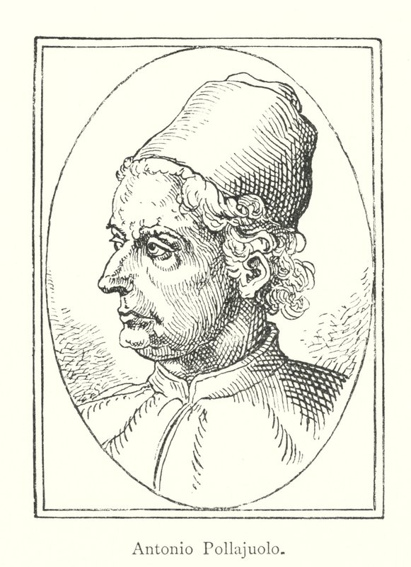 Antonio Pollaiuolo (engraving) by Italian School