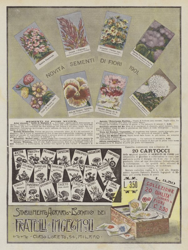 Ingegnoli Brothers by Italian School