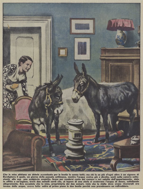 Two donkeys kept in an apartment in Bordighera, Italy by Italian School
