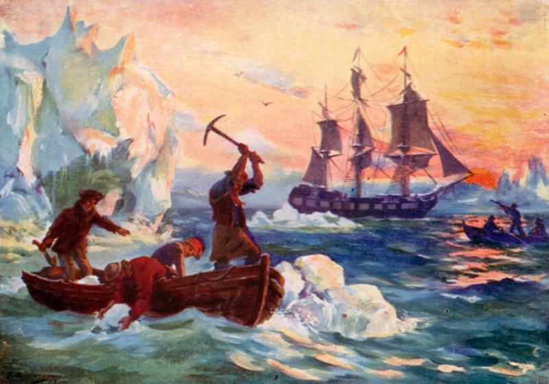 Captain Cook