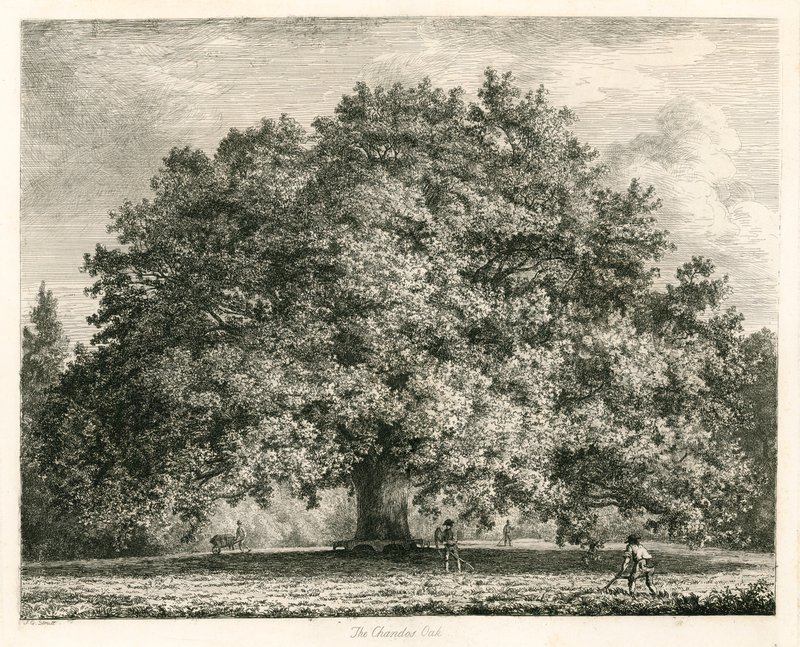 The Chandos Oak, Michendon House, Southgate, London by Jacob George Strutt