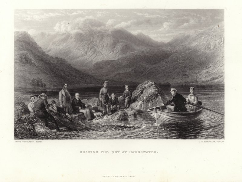 Drawing the Net by Jacob Thompson