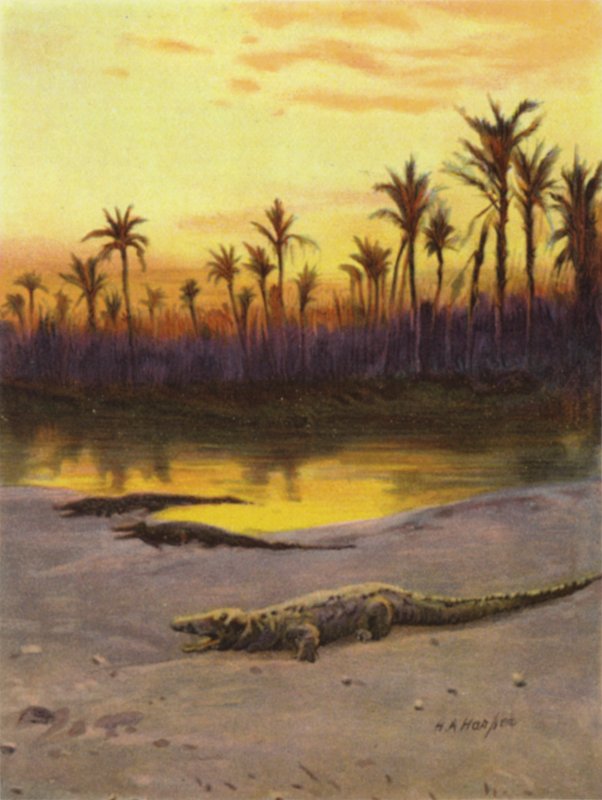 Crocodile at Sunset on the Bank of the Upper Nile by James (after) Clark