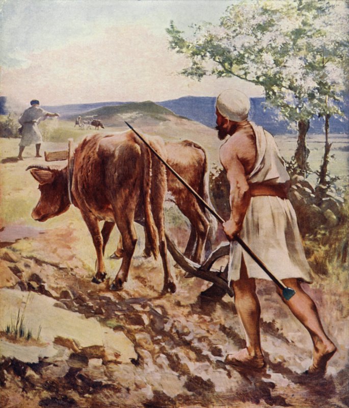 Ploughing Near Nazareth by James Clark