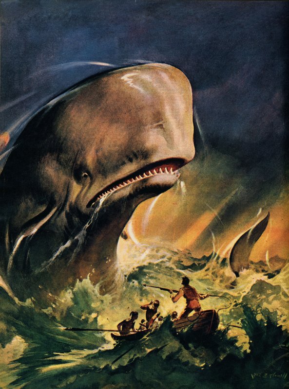Moby Dick by James Edwin McConnell