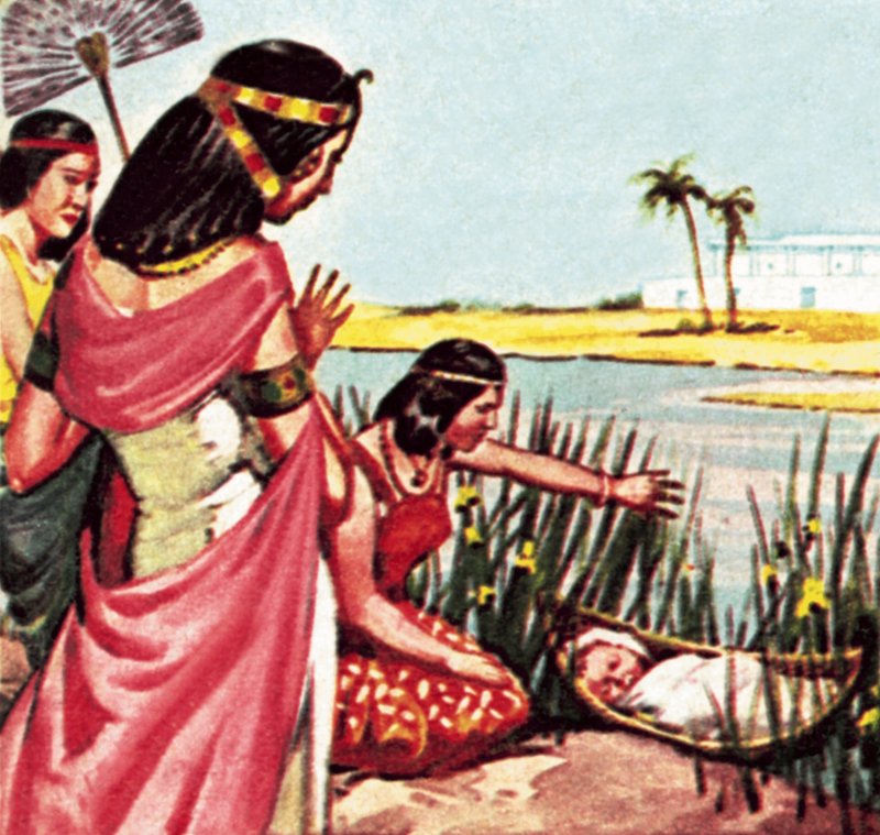 Moses in the Bulrushes by James Edwin McConnell