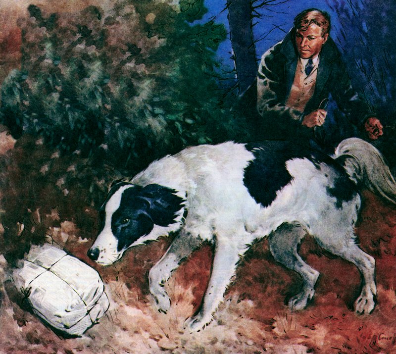 Pickles, The World Cup Dog by James Edwin McConnell