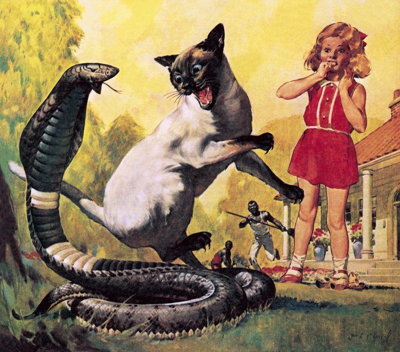 The Courageous Cat by James Edwin McConnell