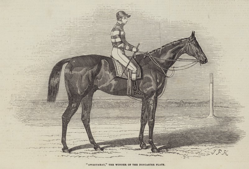 Sweetmeat, the Winner of the Doncaster Plate by James Herring