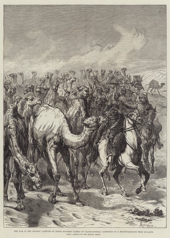 The War in the Sudan, Capture of Three Hundred Camels by Major-General Sartorius in a Reconnaissance from Suakin by Johann Nepomuk Schonberg
