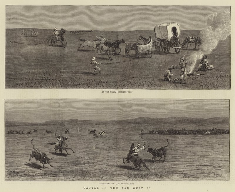 Cattle in the Far West, II by John Charles Dollman