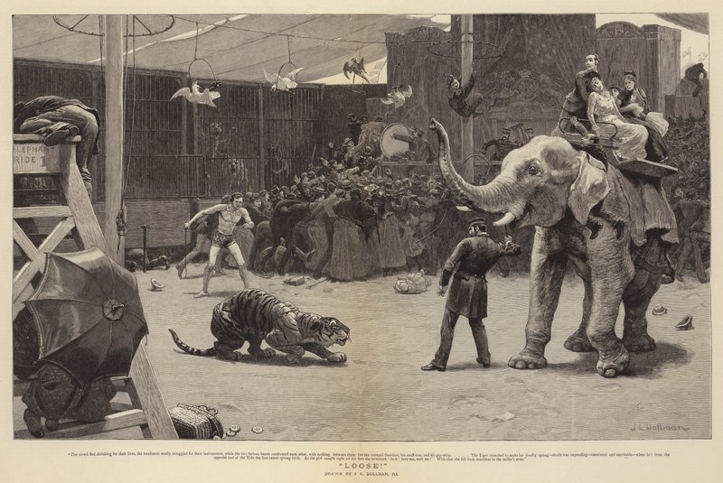 Loose! by John Charles Dollman