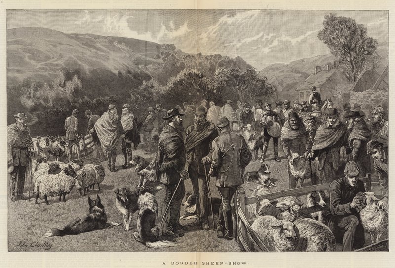 A Border Sheep-Show by John Charlton
