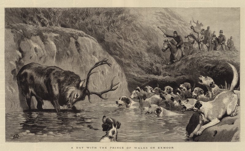 A Day with the Prince of Wales on Exmoor by John Charlton