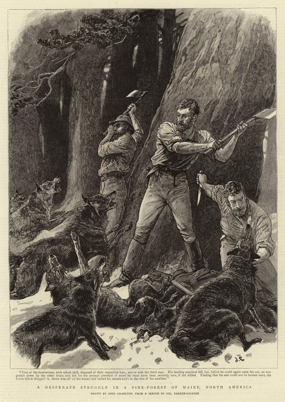 A Desperate Struggle in a Pine-forest of Maine, North America by John Charlton