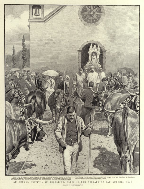 An Annual Festival in Tenerife, Blessing the Animals at San Antonio Abad by John Charlton