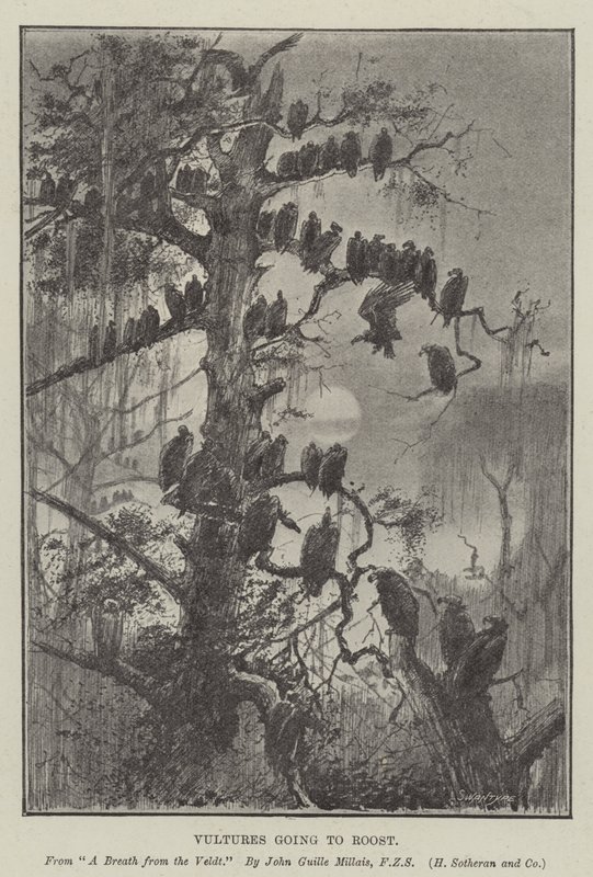 Vultures Going to Roost by John Guille Millais