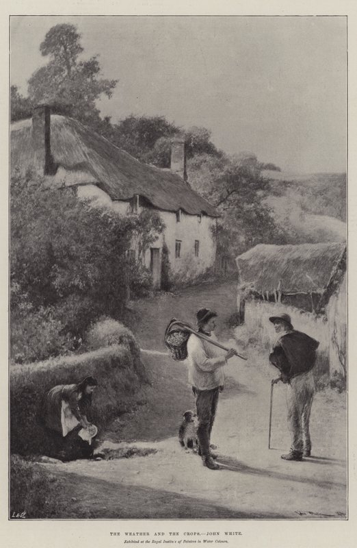 The Weather and the Crops by John White